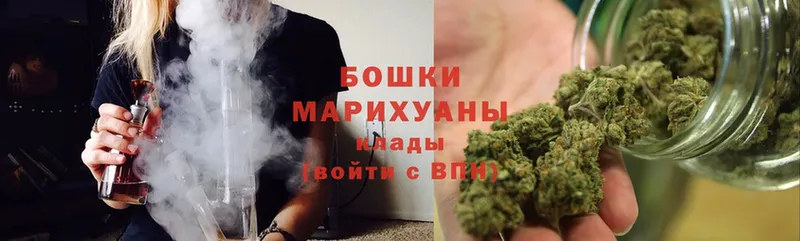 Конопля SATIVA & INDICA  Пошехонье 